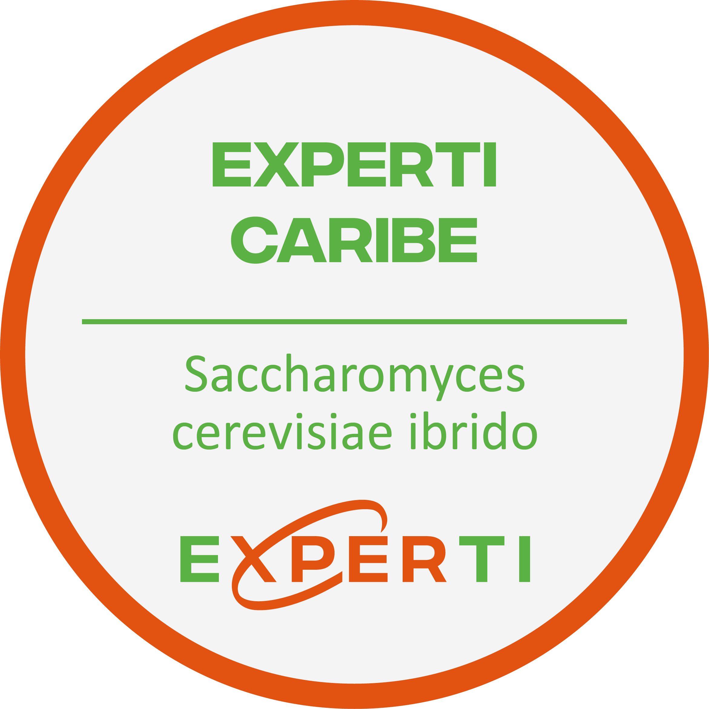 CARIBE | híbrido de Saccharomyces cerevisiae