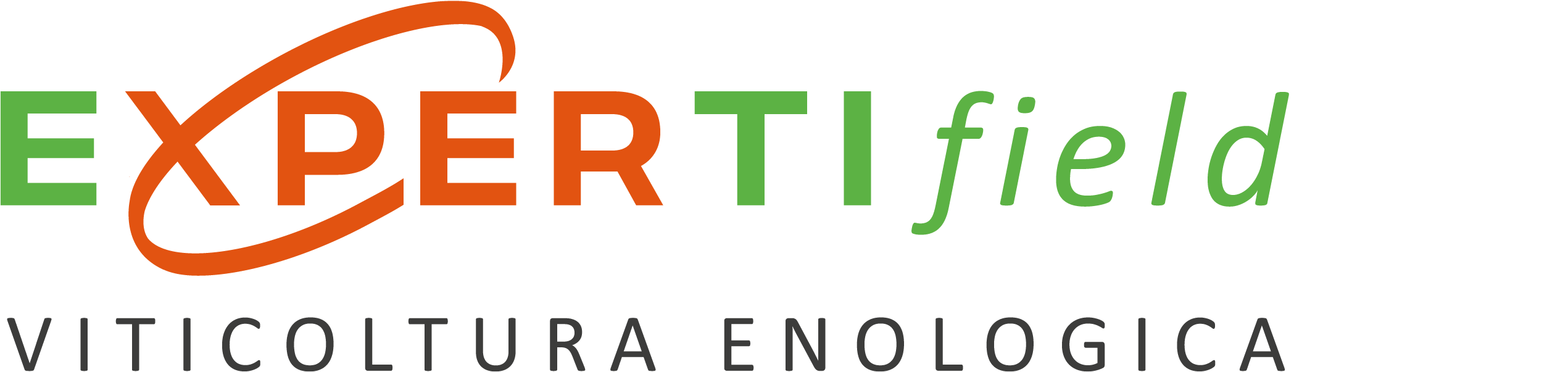 Experti-fiield-it@2x Experti fiield it