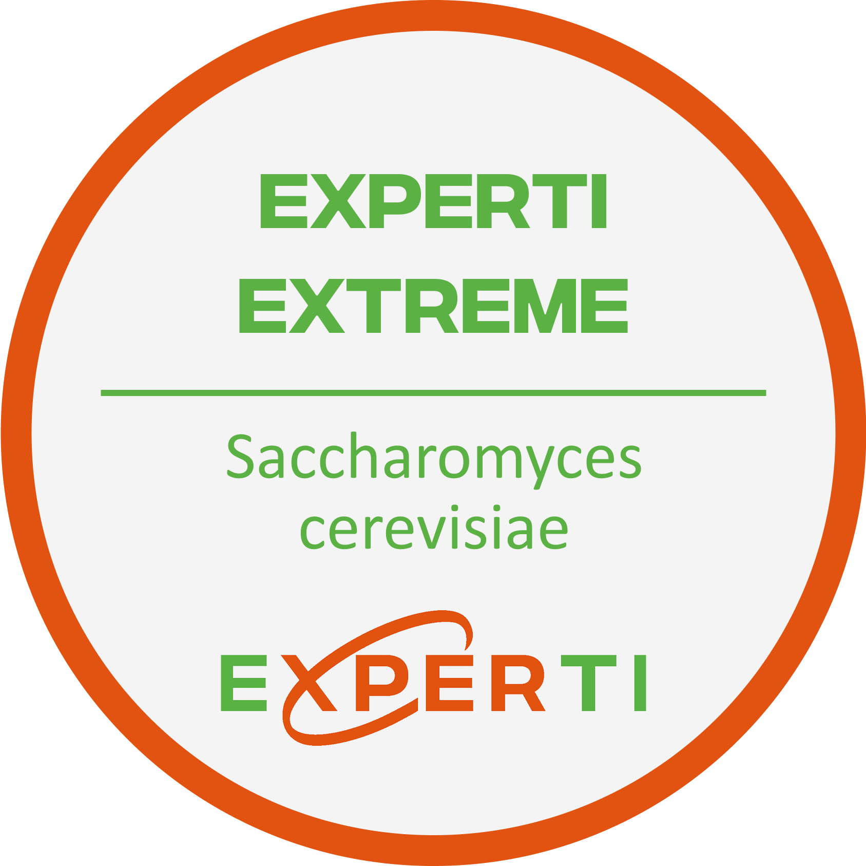 EXPERTI EXTREME | Saccharomyces cerevisiae